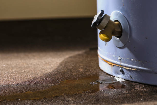 Best Carpet water damage restoration  in Odell, OR