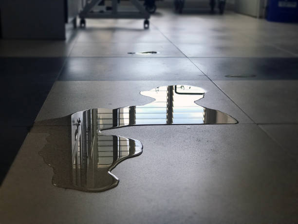 Best Water damage restoration experts  in Odell, OR