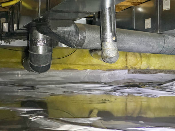 Best Basement water damage restoration  in Odell, OR